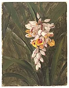 Cardamom, Jamaica by Frederic Edwin Church, American, 1826–1900