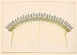 Design for a Comb by Unknown