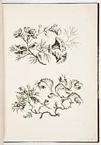 Designs for Chinoiserie Flowers by Jean-Baptiste Pillement, French, 1728–1808