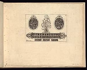 Designs for Ornament