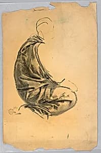 Drapery Study