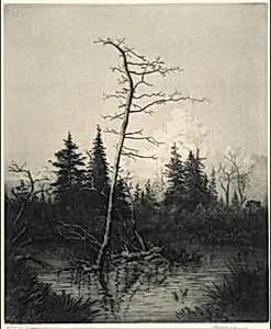 Evening by George Elbert Burr