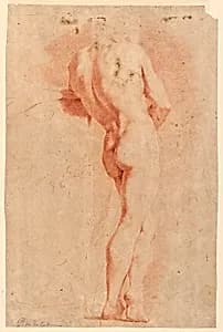 Figural Study