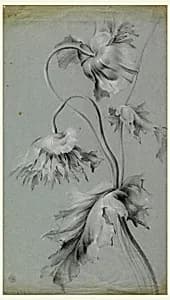Floral Design by Unknown