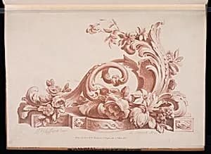 Floral Ornament Design