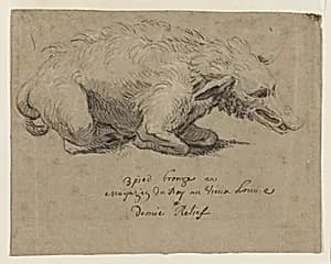 Fountain Design with Boar