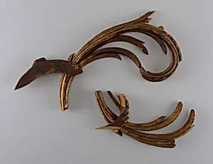 Fragment by Unknown