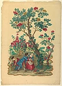 Gathering grapes