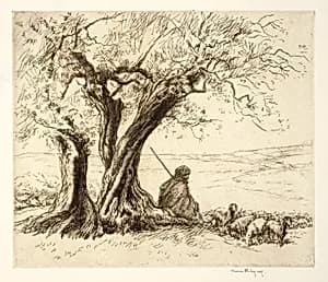 Goatherd, Algeria by Kerr Eby