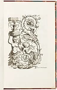 Grotesque Ornament Design