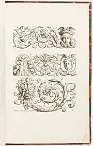 Grotesque Ornament Designs