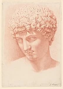 Head of Apollo