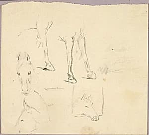Horses by Solon H. Borglum