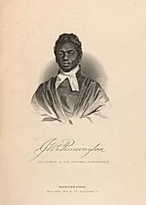 James Pennington by William Irwin, 1827 - 1886