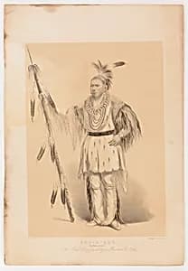 Joc-o-sot, the Walking Bear by George Catlin