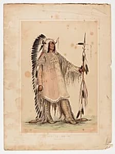 Mah-to-toh-pa, the Mandan Chief by George Catlin