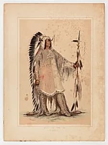 Mah-to-toh-pa, the Mandan Chief by George Catlin