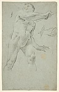 Male Nude
