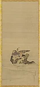 Mandarin ducks