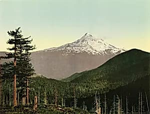 Mt. Hood by Unidentified