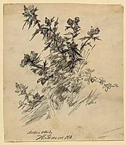 Nature Study by Walter Shirlaw, American, b. Scotland, 1838–1909