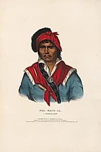 Nea-math-la - A Seminole Chief