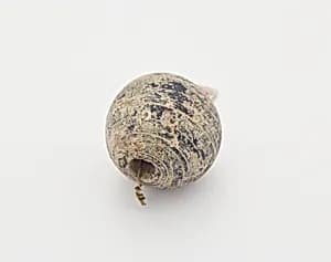 Necklace Bead by Unidentified