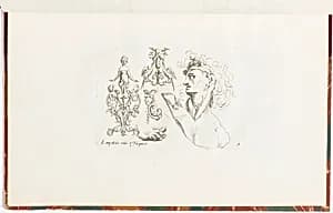 Ornament Designs