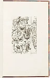 Ornament Designs
