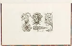 Ornament Designs