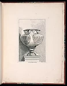 Ornamental Vase Design