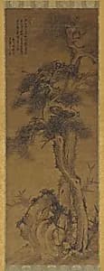 Pines, Rock, and Bamboo