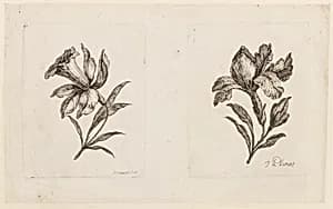 Print by Jean-Baptiste Pillement, French, 1728–1808