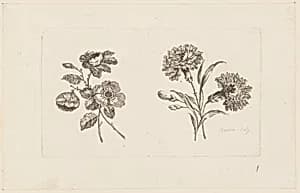 Print by Jean-Baptiste Pillement, French, 1728–1808