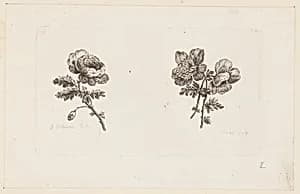 Print by Jean-Baptiste Pillement, French, 1728–1808