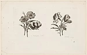 Print by Jean-Baptiste Pillement, French, 1728–1808