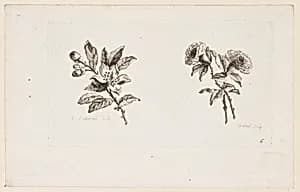 Print by Jean-Baptiste Pillement, French, 1728–1808