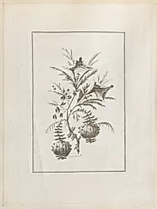 Print by Jean-Baptiste Pillement, French, 1728–1808