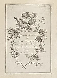 Print by Jean-Baptiste Pillement, French, 1728–1808
