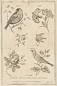 Print by Jean-Baptiste Pillement, French, 1728–1808