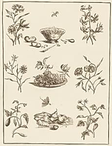 Print by Jean-Baptiste Pillement, French, 1728–1808