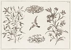 Print by Jean-Baptiste Pillement, French, 1728–1808