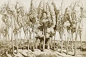 Road Song no. 5 by Donald Shaw MacLaughlan