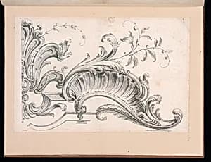 Rocaille Ornament Design