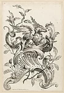 Rocaille Ornament Design