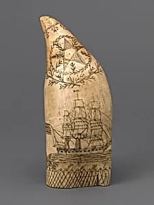 Scrimshaw by Unknown