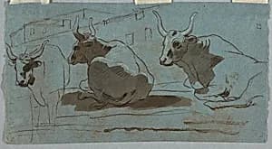 Sketches of Bulls by Unknown
