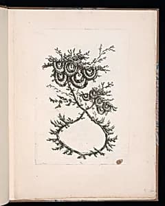 Spray of Flowers