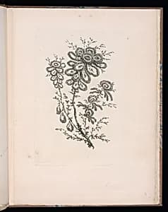 Spray of Flowers