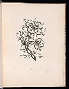 Spray of Flowers by Arnault-Eloi Gautier-Dagoty, French, 1741 – 1783
